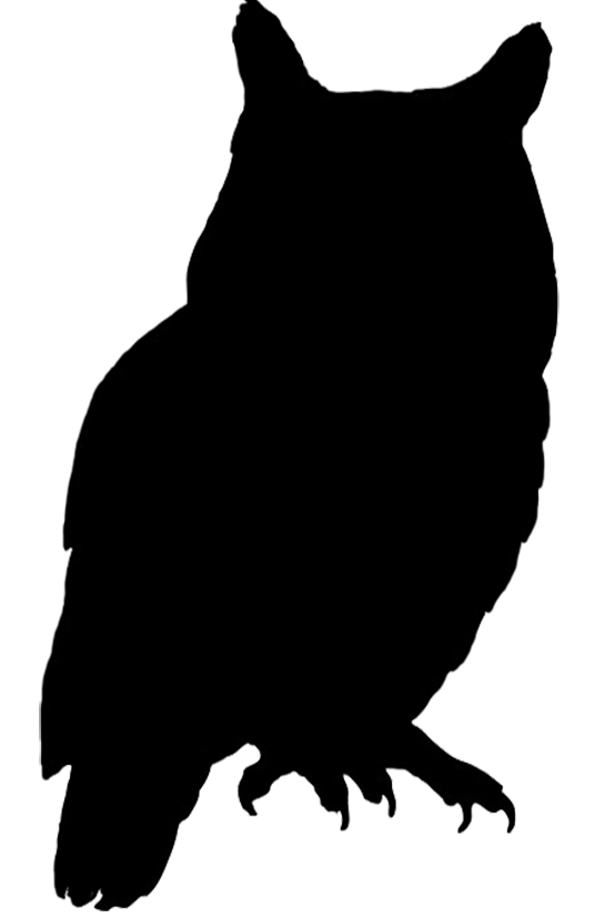 554x827 Drawing Hawks Realistic Hawk Transparent Png Clipart Free