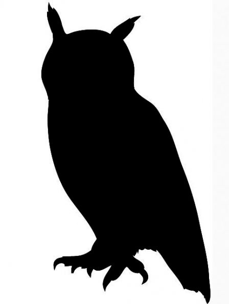 448x593 Barn Owl Clipart Black And White