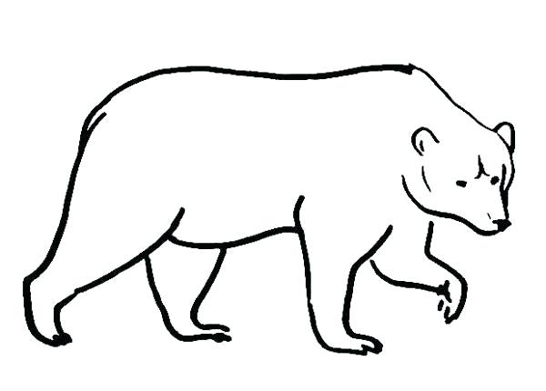 600x430 Bear Coloring