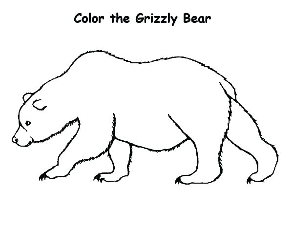 600x464 Coloring Pages Halloween Scary Pumpkin Online Pokemon Bear