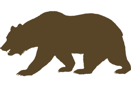450x300 Grizzly Drawing Cute Transparent Png Clipart Free Download