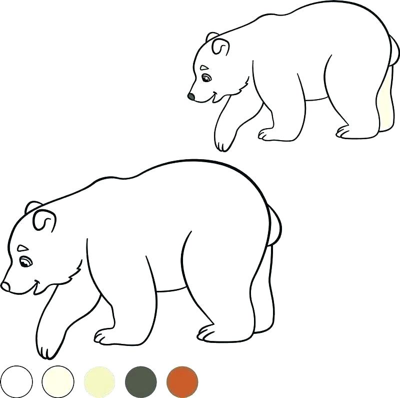 800x795 Polar Bear Coloring Pages Cartoon Polar Bear Coloring Pages