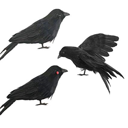 425x425 Halloween Party