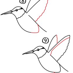 250x250 How To Draw A Birds Eye View Bird In Photoshop Realistic For Kids