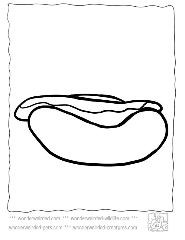 612x792 Food Coloring Pages Realistic Hot Dog