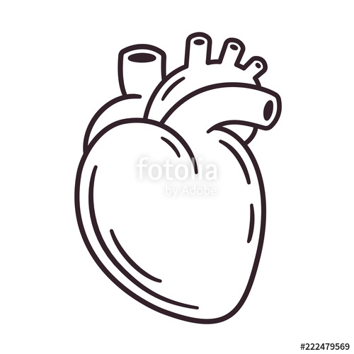 500x500 Realistic Heart Drawing Stock Image And Royalty Free Vector
