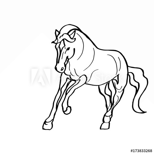 500x500 Realistic Horse Black And White Drawing