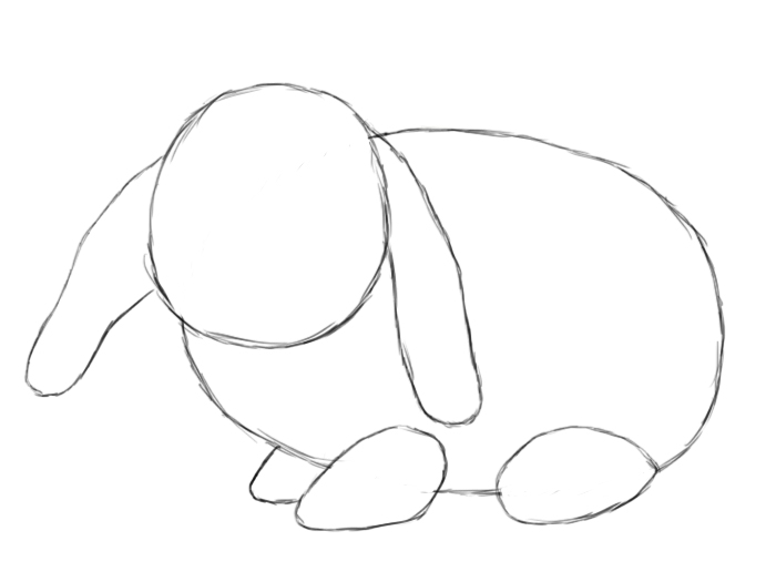700x525 How To Draw A Bunny Step