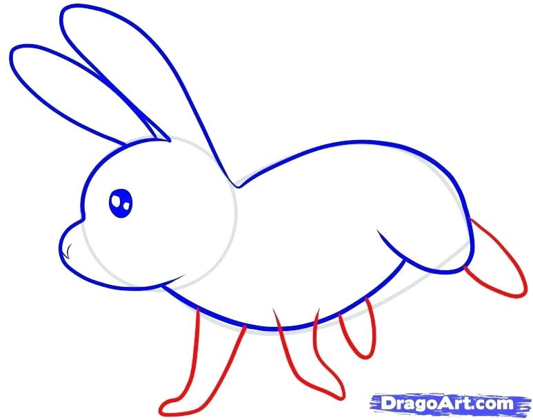 773x609 How To Draw Rabbit Draw A Bunny Rabbit Face