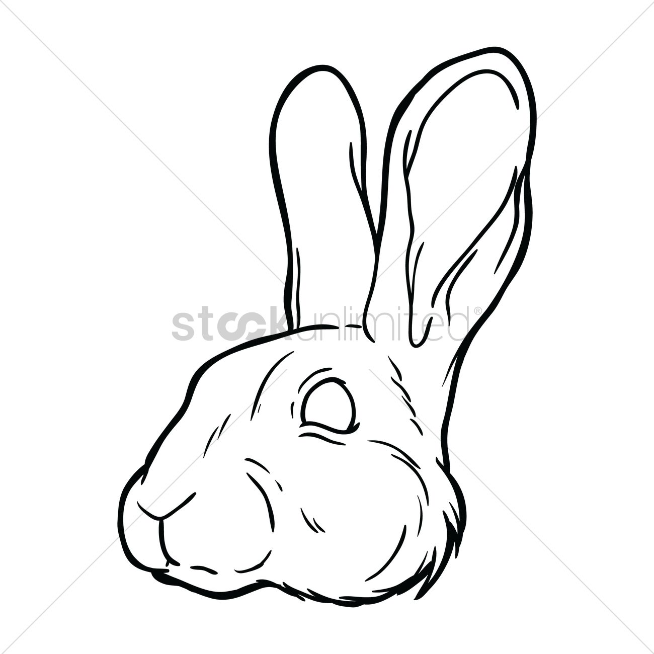 1300x1300 Huge Collection Of 'rabbit Face Drawing' Download More Than