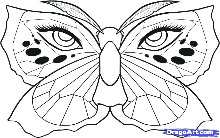 907x567 How To Draw A Butterfly Easy