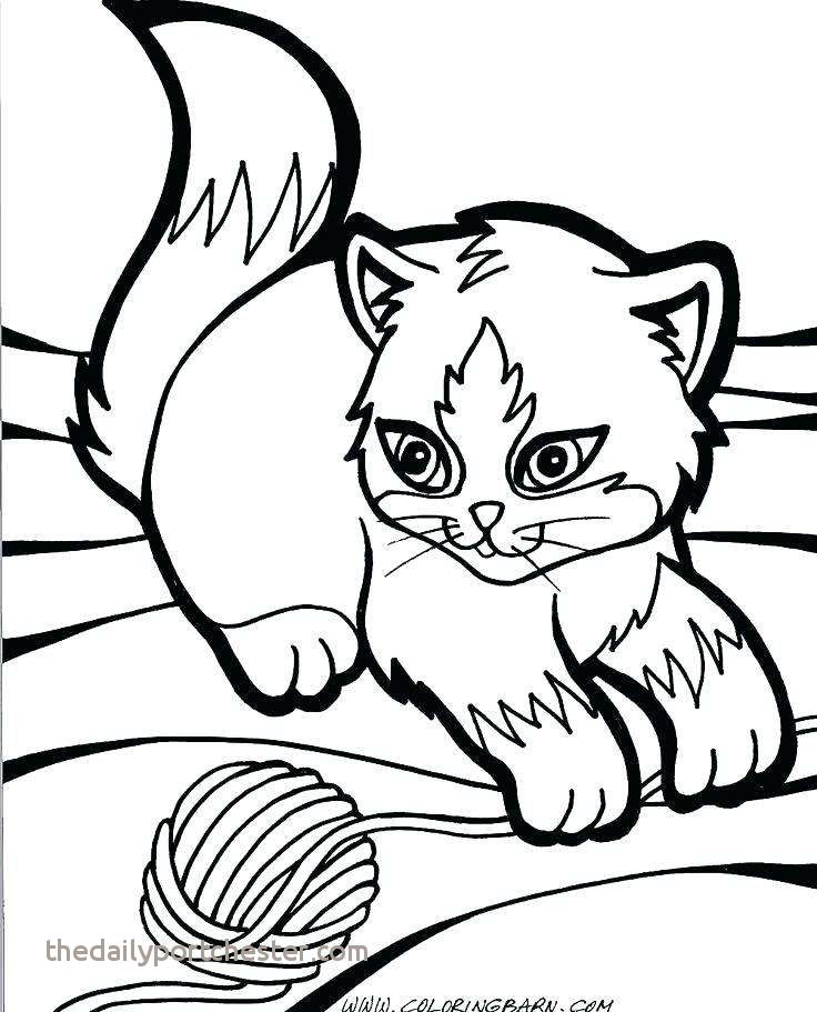 736x911 Cute Cat Coloring Pages Luxury Realistic Cat Coloring Pages