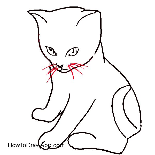 600x600 Gallery For Gt Drawing Animals Step