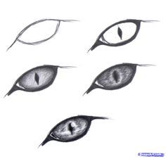 236x226 How To Draw Eyes Drawing Easy Drawings, Drawings, Cat Drawing