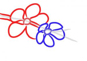 302x211 How To Sketch A Cherry Blossom, Step