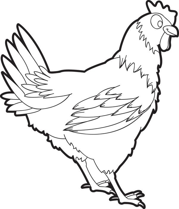 601x700 Chickens Clipart Luxury Clipart Kids Elegant Chicken For Kids