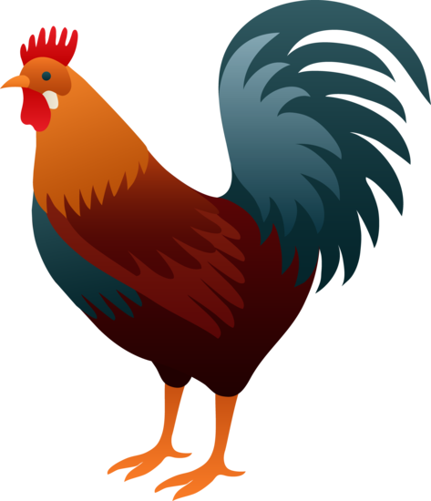 473x550 Collection Of Free Rooster Drawing Realistic Download On Ui Ex