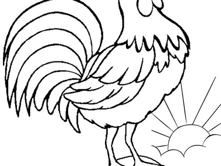 440x330 Coloring Pages Chickens Free Printable Realistic Chicken Colori