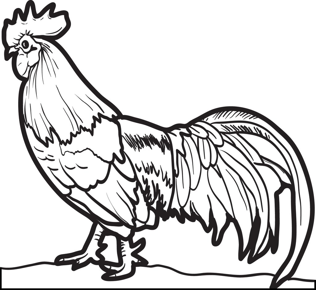 1024x941 Free Printable Realistic Chicken Coloring