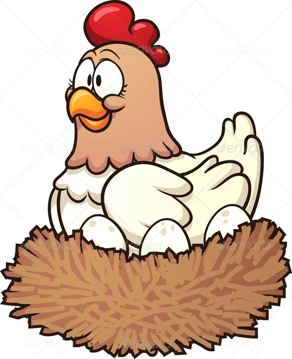 590x725 how to draw chickens how to draw a chicken hen bird do chickens