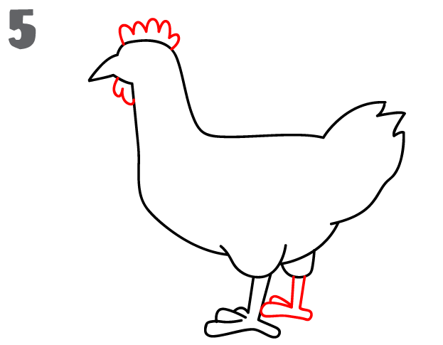 623x485 How To Draw A Chicken