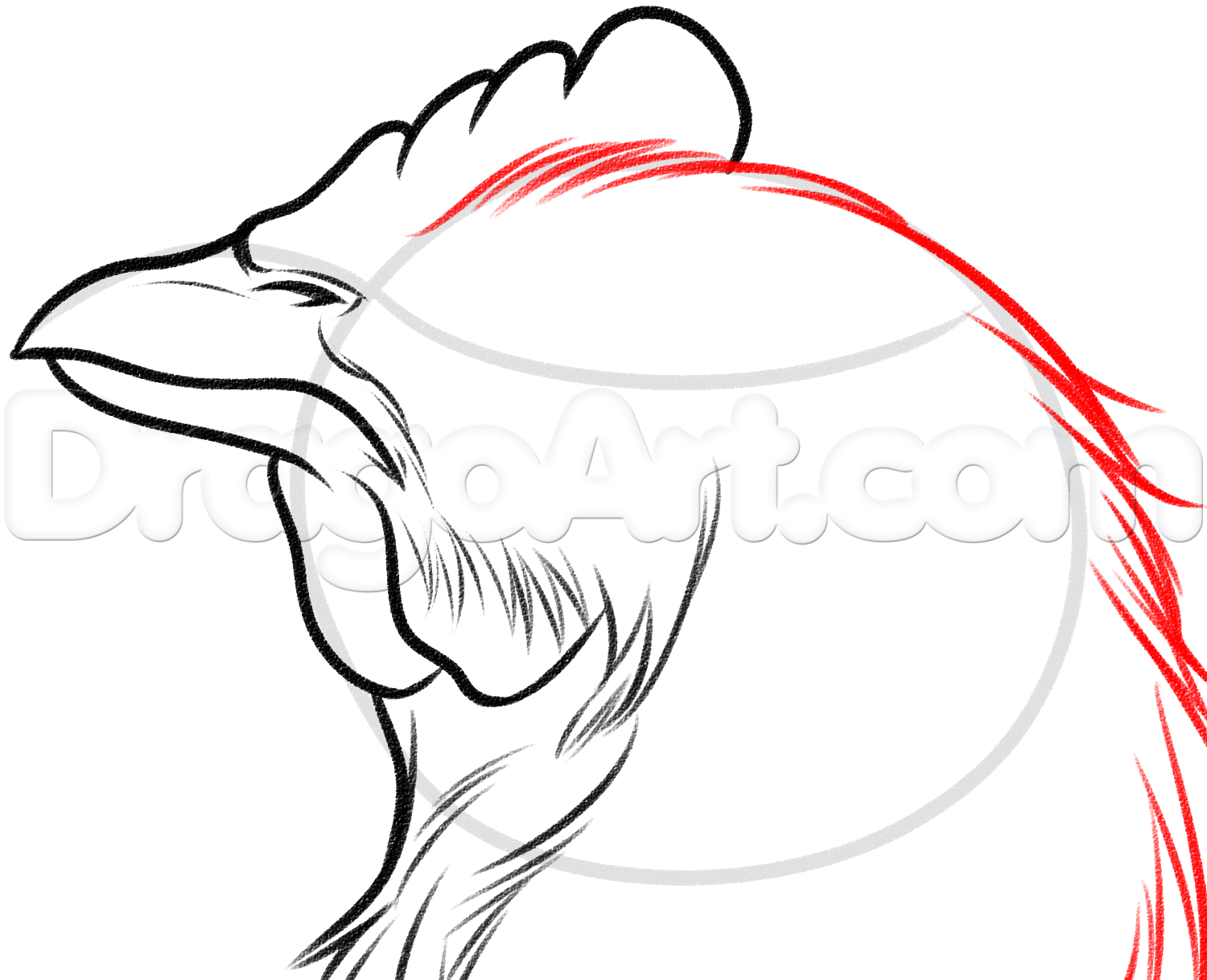 1500x1218 How To Sketch A Chicken, Step