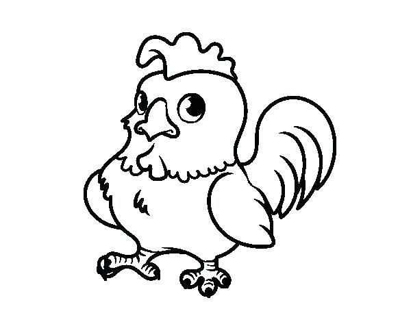600x470 Realistic Chicken Drawing At Free For Personal Use Free Printable