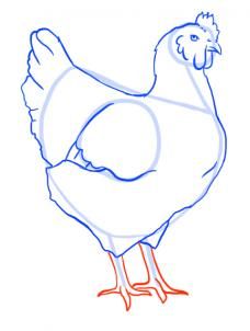 228x302 How To Draw A Chicken Step Chickenspiration In Drawings