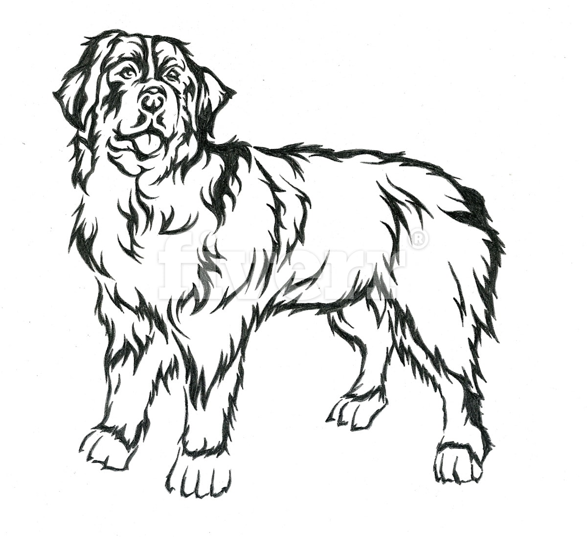 1200x1099 Draw A Realistic Line Cartoon For Your Presentation