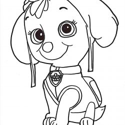 250x250 Easy Puppy Dog Drawings Hot Head Very Realistic Cartoon I Fertility