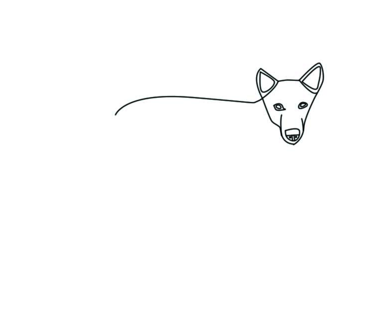 781x642 How To Draw A Dog Drawing