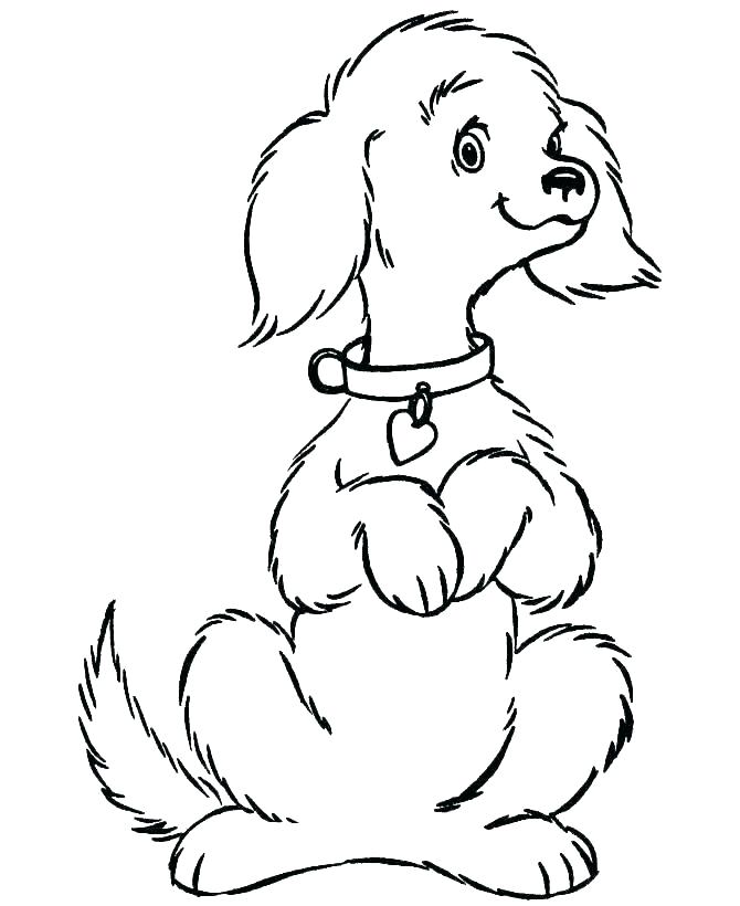 670x820 realistic dog coloring pages realistic dog coloring pictures
