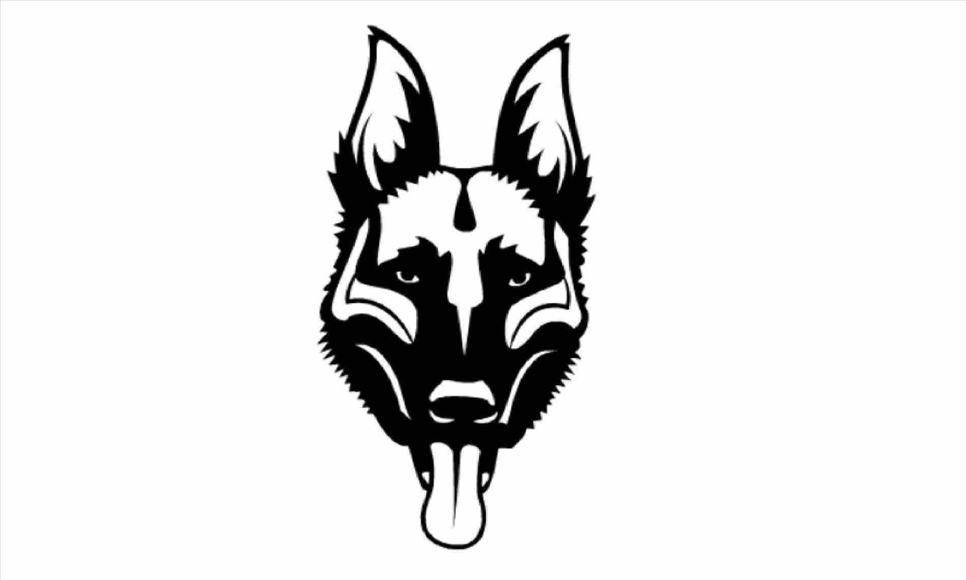 1899x1140 How To Draw A Realistic Dog Face Step