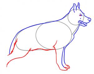 302x238 How To Draw A Realistic Dog, Draw Real Dog, Step
