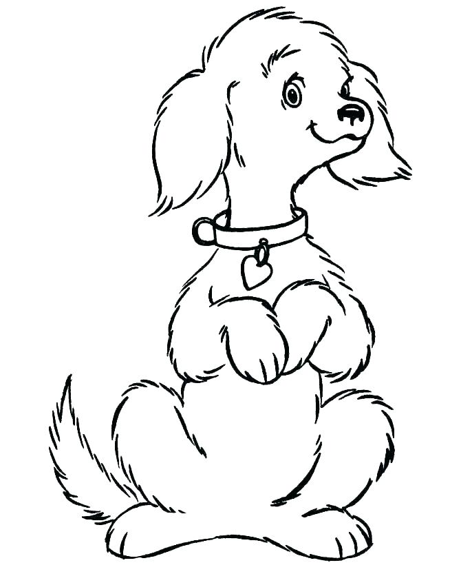 670x820 realistic dog coloring pages coloring realistic dog coloring pages