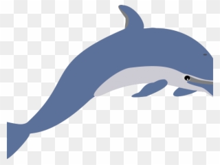 320x240 Dolphin Clipart Realistic