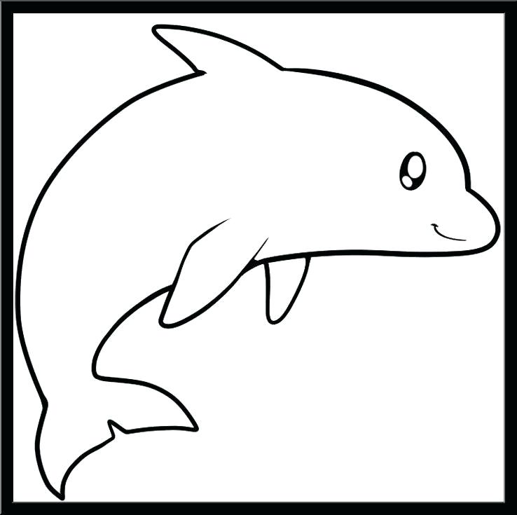 738x735 Draw A Dolphin Easy How To Draw A Dolphin Tattoo Step Easy Way