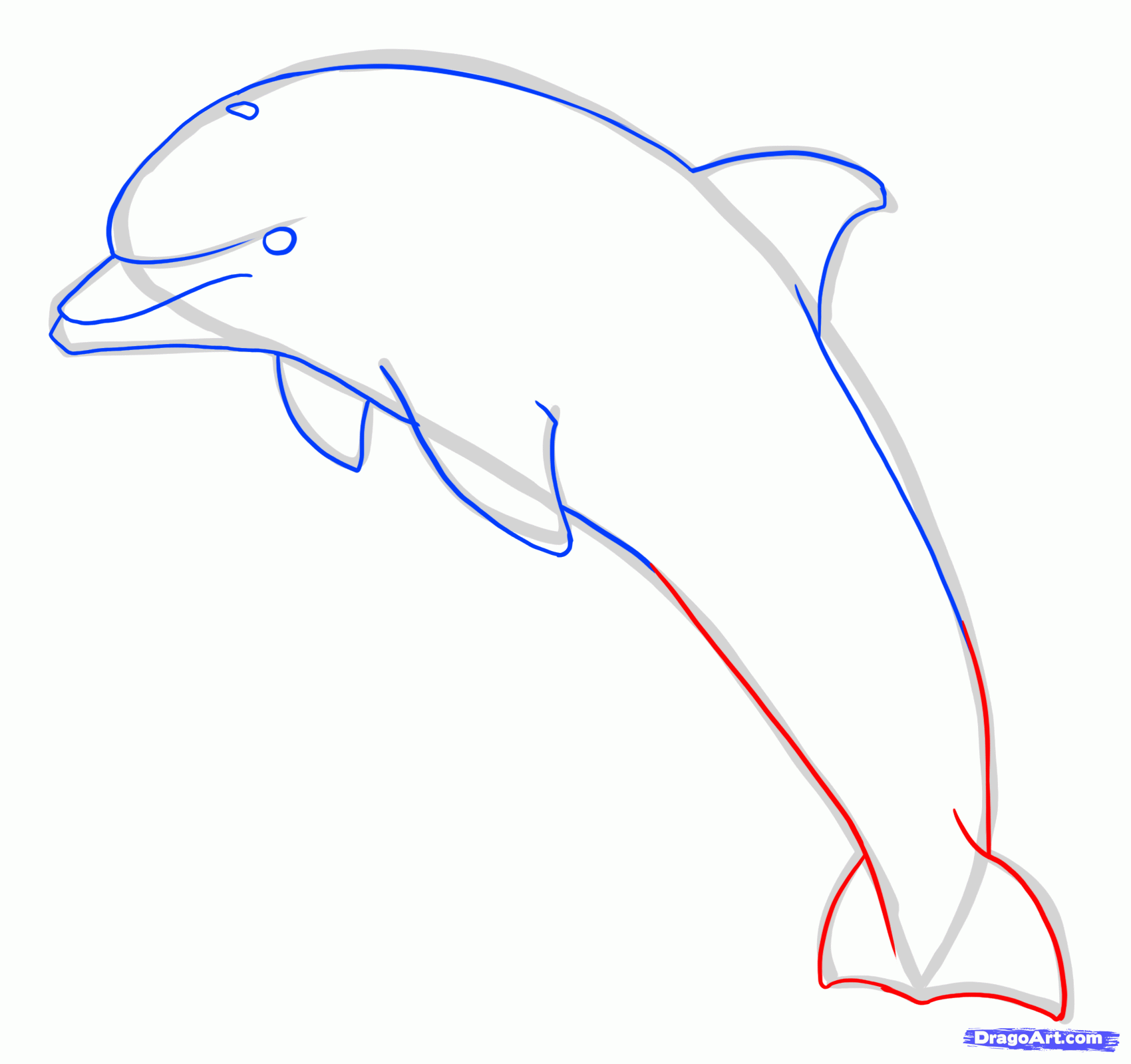 1700x1599 How To Draw A Jumping Dolphin, Step