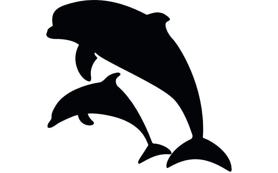 900x560 Bottlenose Dolphin Drawing Running