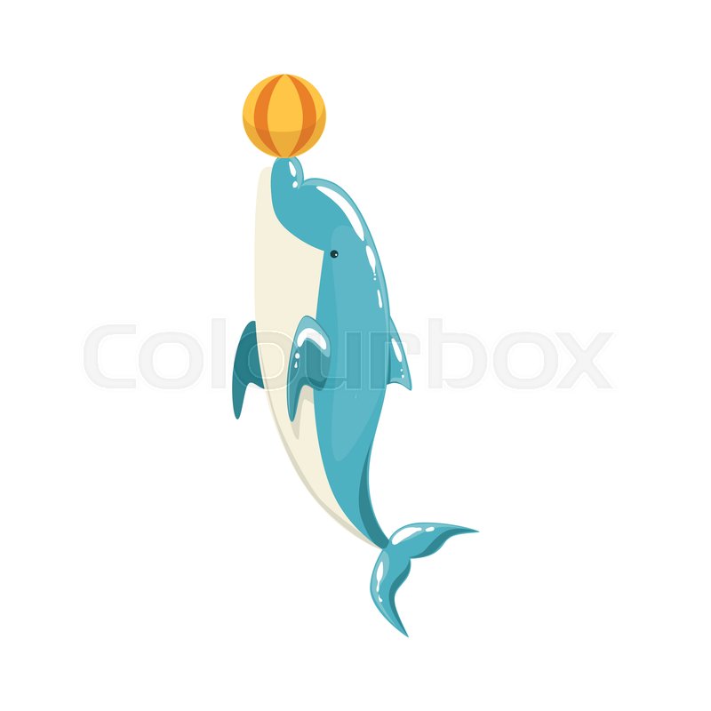 800x800 Blue Bottlenose Dolphin Balancing A Stock Vector Colourbox