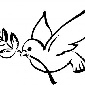 300x300 How To Draw A Dove Realistic Archives