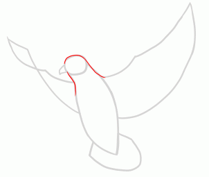 302x255 How To Draw Doves, Step