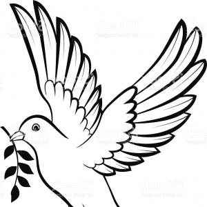 300x300 Realistic Flying White Dove Vector Clipart Lazttweet