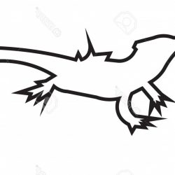 250x250 Bearded Dragon Pencil Drawing Realistic Pages Step