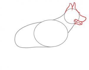 302x238 Draw A Realistic Dog, Draw Real Dog, Step