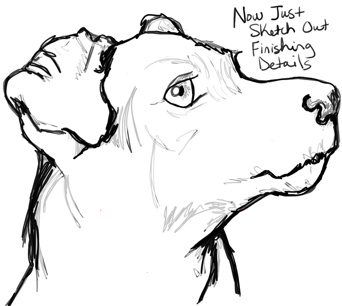 700x627 How To Draw A Terrier's Face Dog's Face With Easy Steps