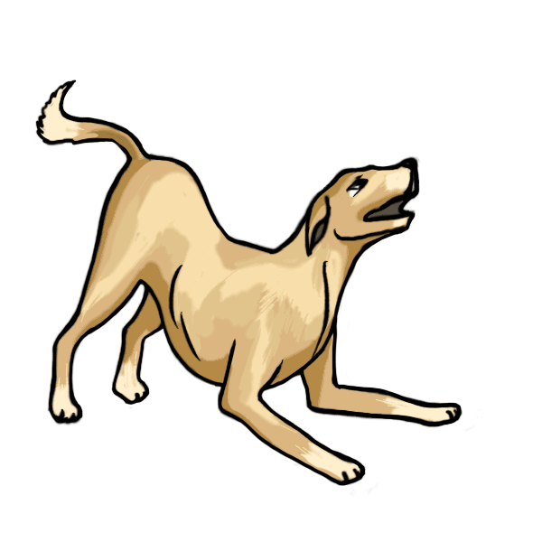 600x600 Collection Of Free Dogs Drawing Realistic Download On Ui Ex