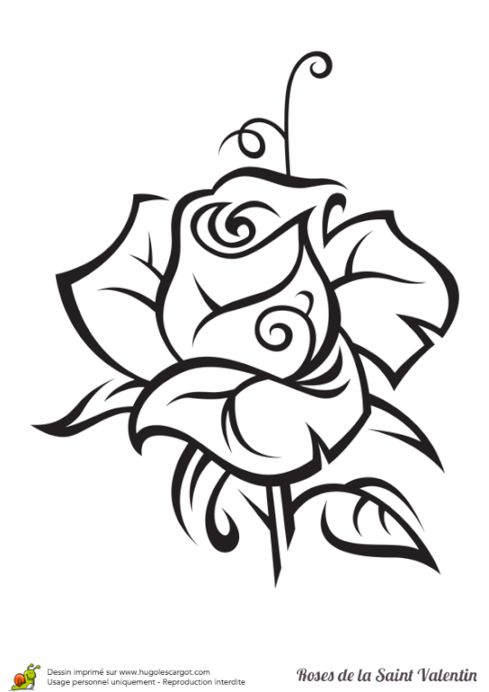 540x764 Coloriage Rose Saint Valentin Realistic Drawings
