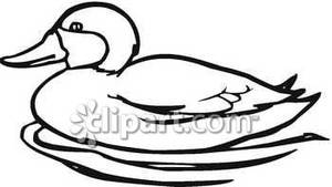 300x169 Realistic Duck Outline