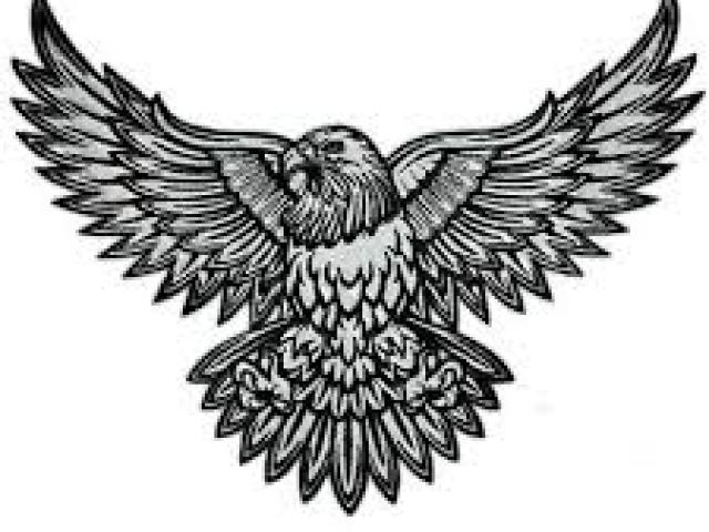 640x480 Drawn Bald Eagle